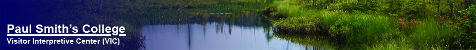 Adirondack Wetlands: Barnum Bog at the Paul Smiths VIC (16 June 2012)